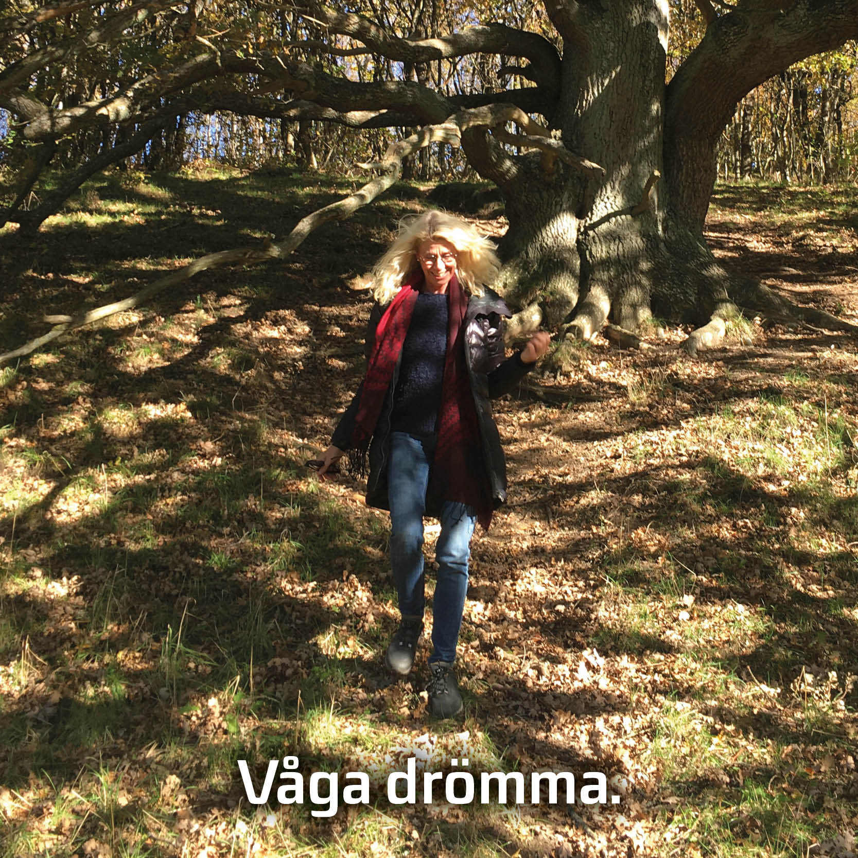 You are currently viewing Våga drömma.